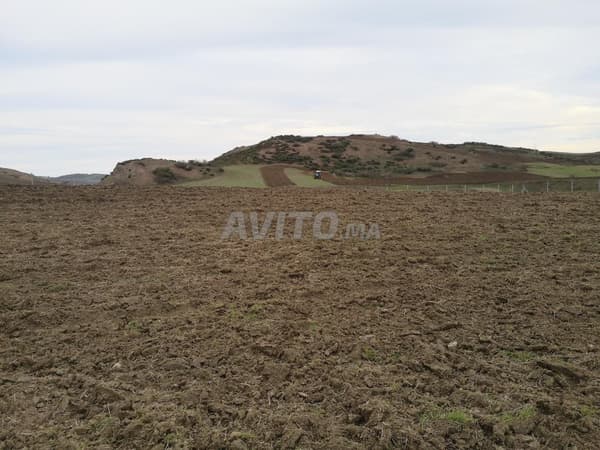 Terrain agricole irrigué