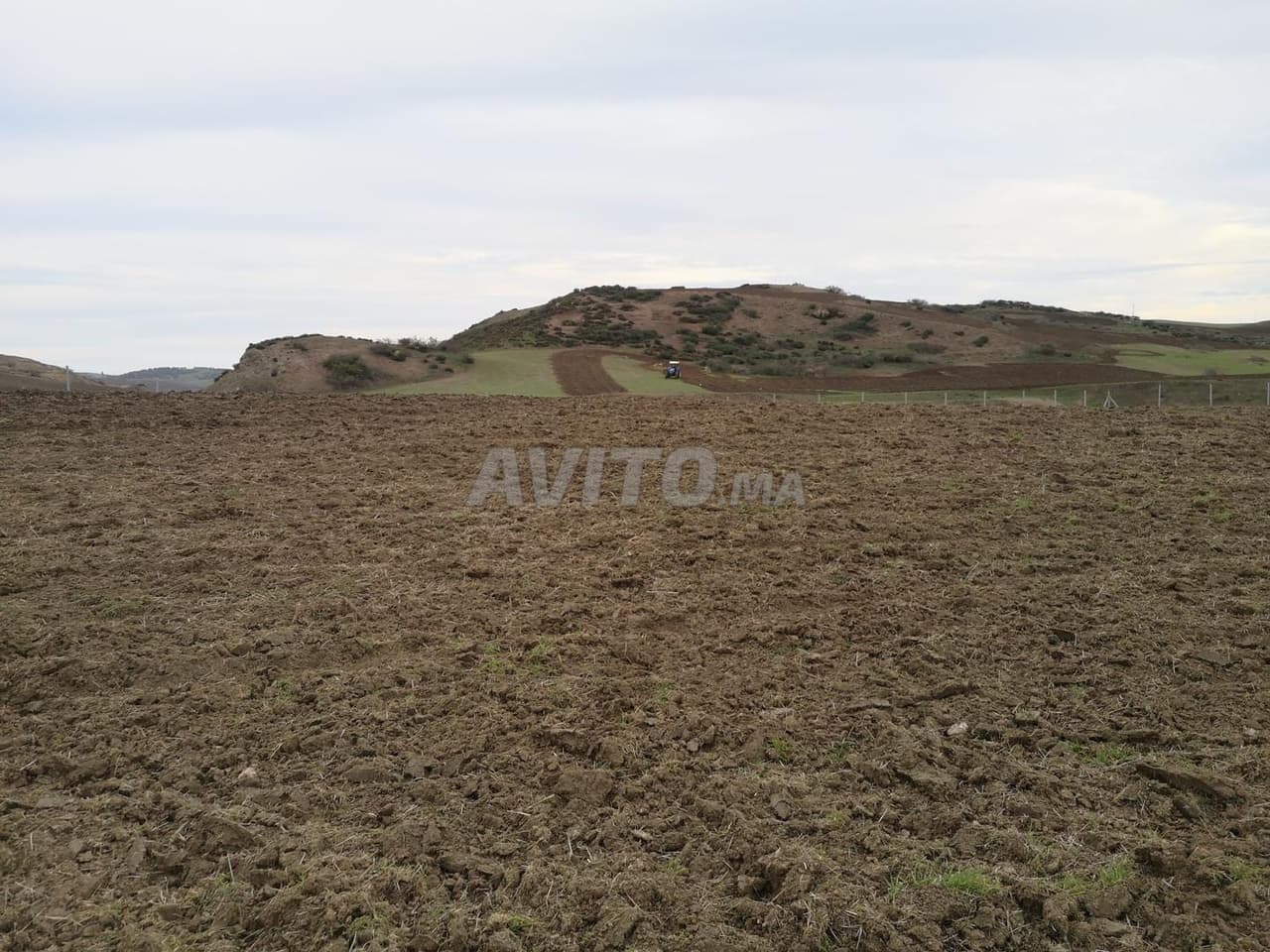 Terrain agricole irrigué
