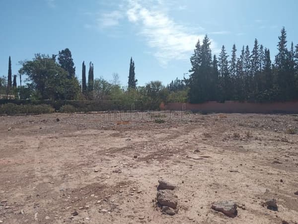 1 hectare et 1000 m à vendre km 18 route amezmiz