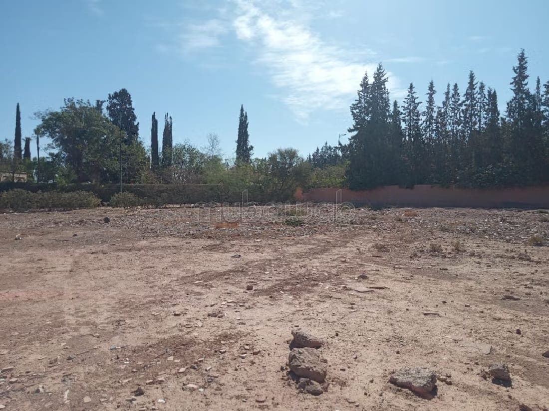 1 hectare et 1000 م² للبيع الكيلومتر 18 طريق أمزميز