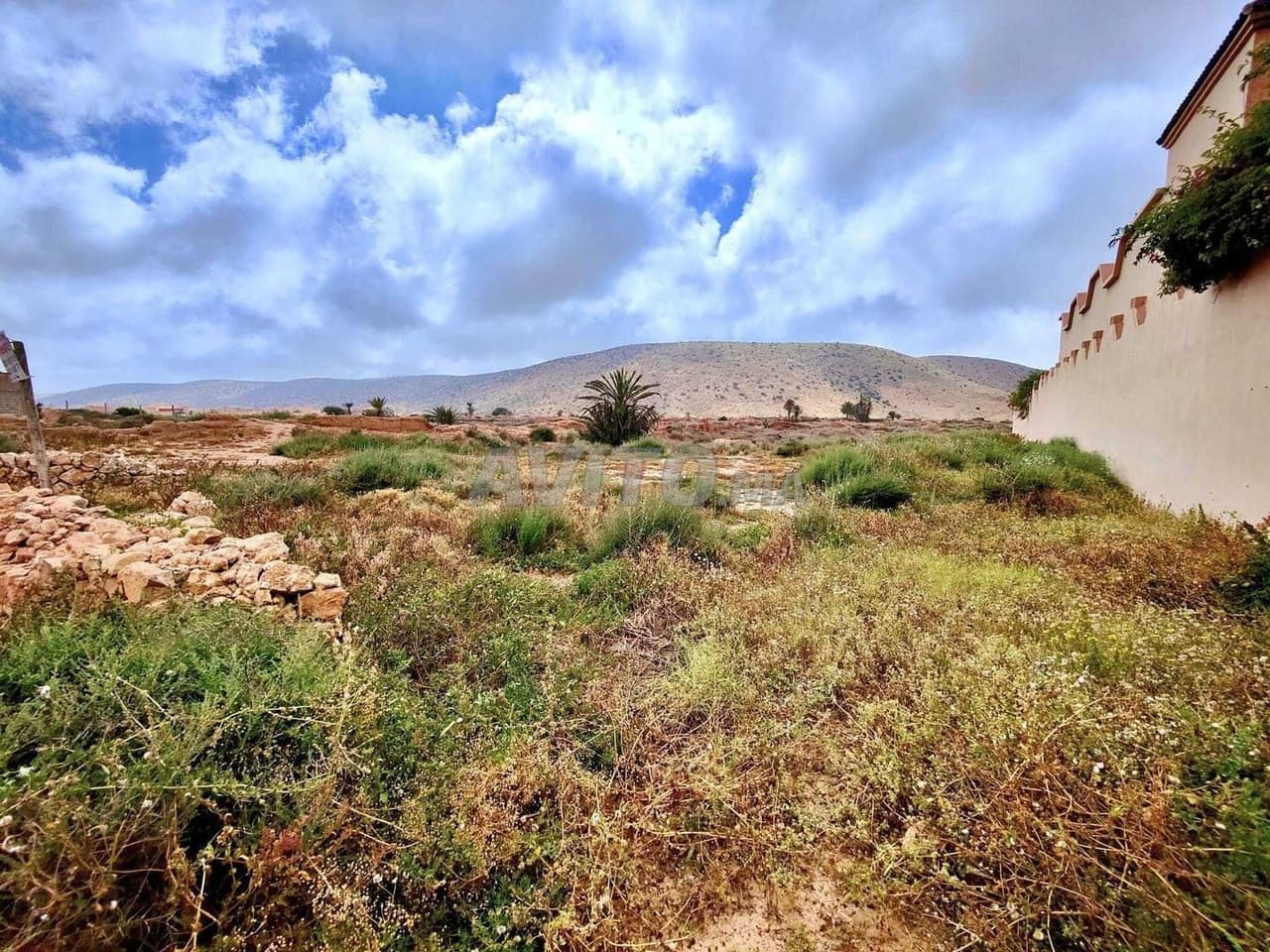 Vente Terrain nu à Tiznit