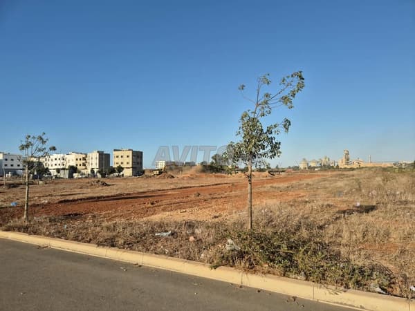 Terrenos de villa y R3 con título desde 900 000 DH