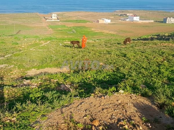 Vente Terrain nu à Sidi Ifni
