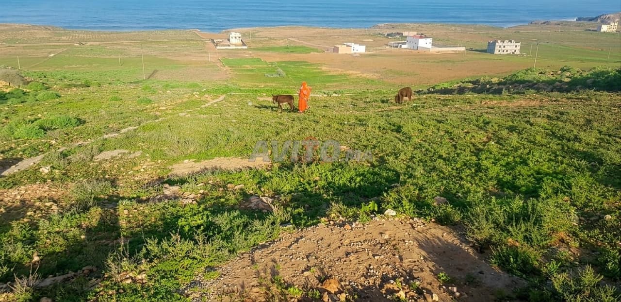 Vente Terrain nu à Sidi Ifni