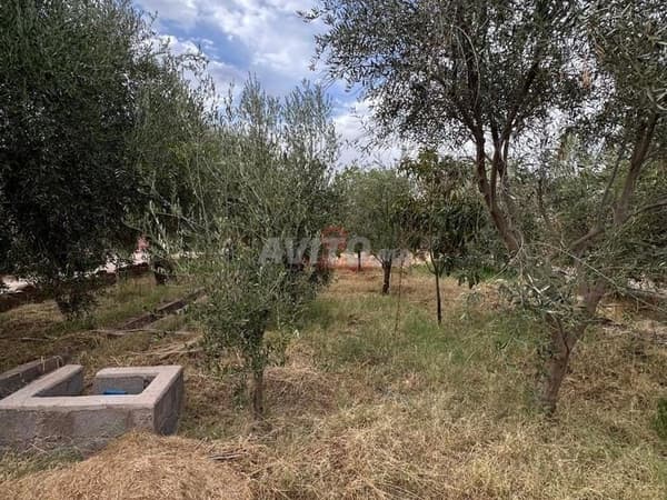 Vente Terrain agricole à Marrakech