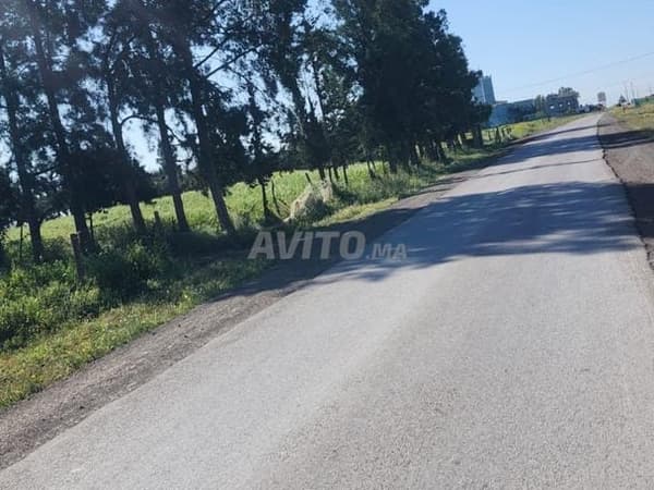 2.43 ha titré sur la route à 14 km du c.ville