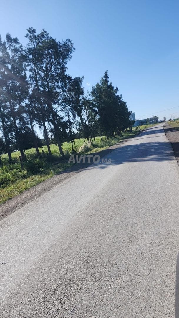 2.43 ha titré sur la route à 14 km du c.ville
