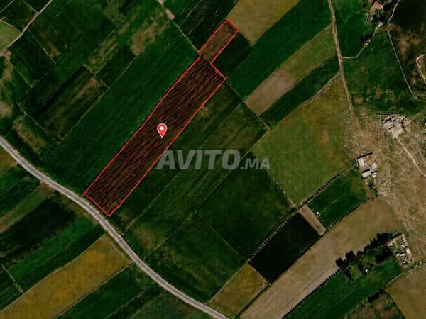 Agricultural Land 1.4 Hectares