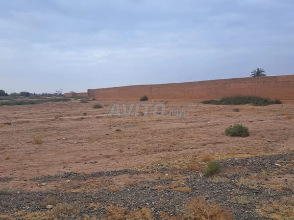 Terrain Agricole de 7 Hectares – Route d’Agafay