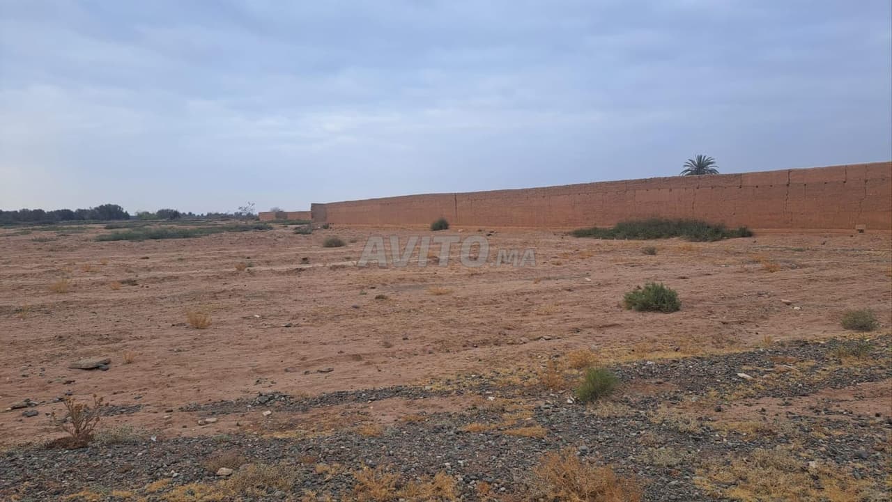 Terrain Agricole de 7 Hectares – Route d’Agafay