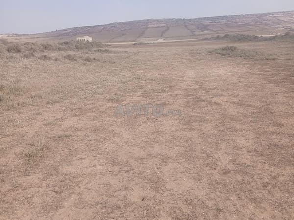 صفقة رابحة