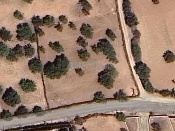 Land for sale in the commune of Ounagha El Hararta