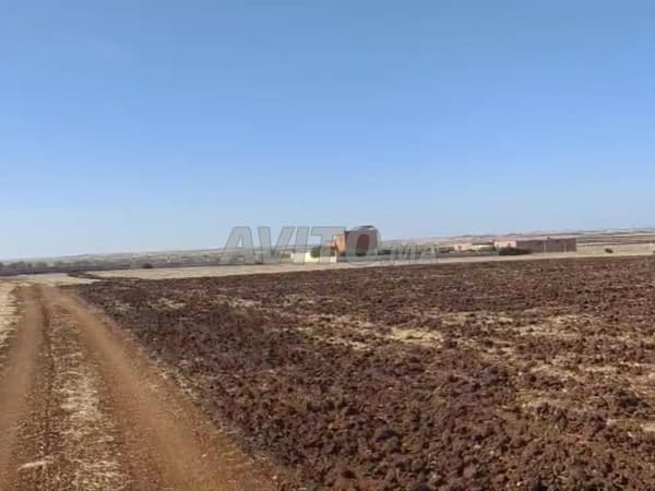 Terrain agricole 1.5 hectare propriété sur la route Ouled Said