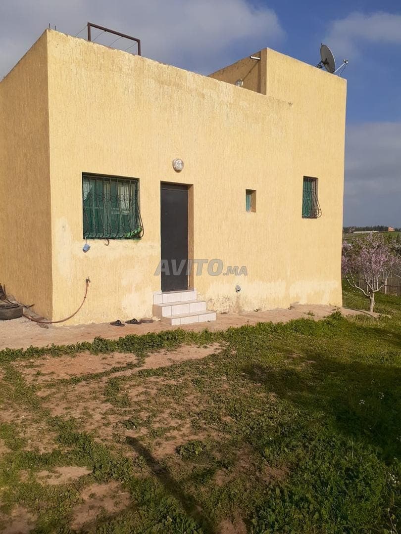 Farm Hectare house price 140 millions Tiflet