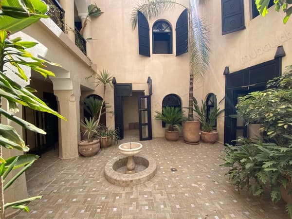 بيع رياد بتاريخ رياد زيتون جديد