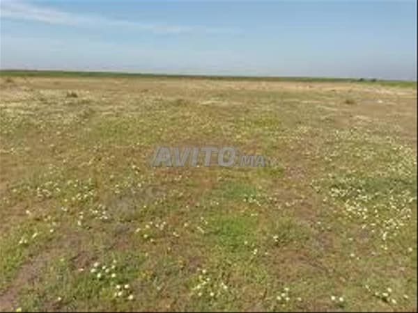 Excellent agricultural land