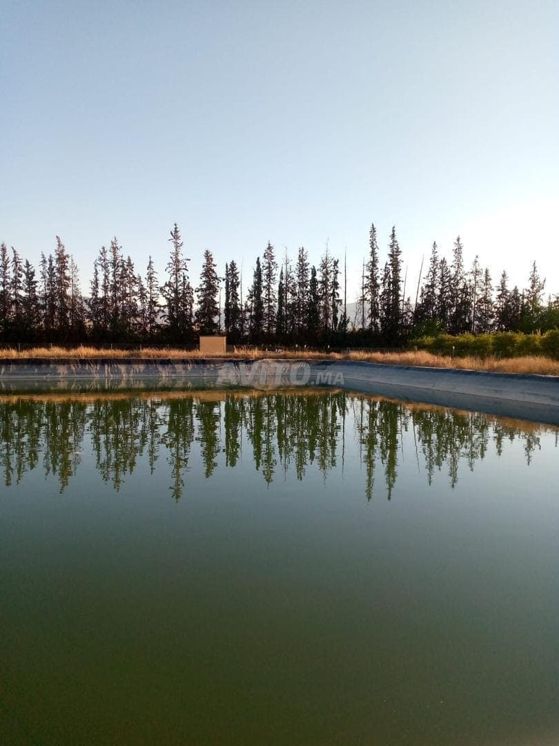 Ferme à vendre, enregistrée et équipée, 35 hectares, près de Beni Mellal