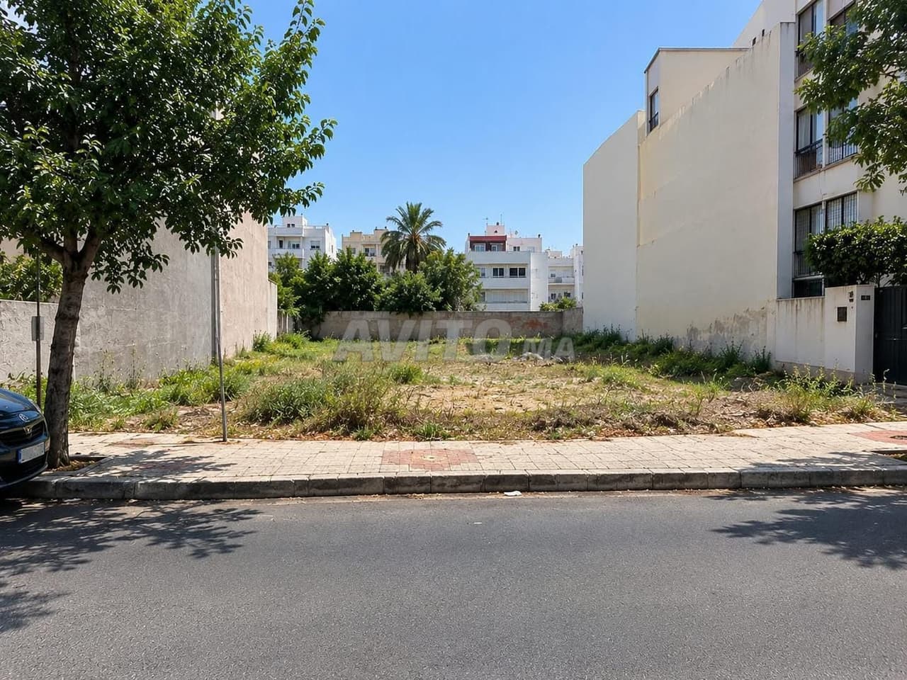 TERRAIN À VENDRE – BD IBN TACHFINE 439 m²