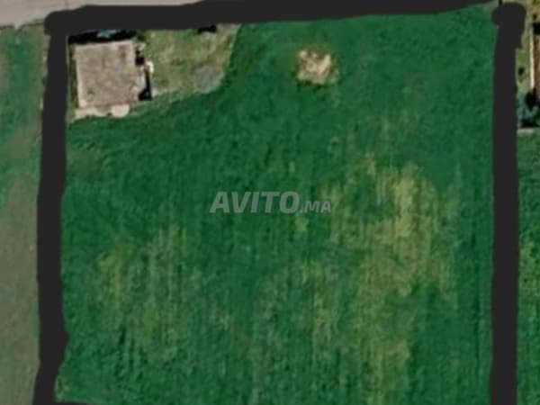 Land in Aït Aïachi - Berrechid