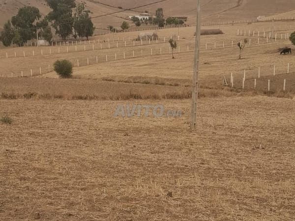 Opportunité pour investisseurs et agriculteurs : terrain de 10 hectares