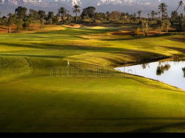 Terrain en vente prestigia argan