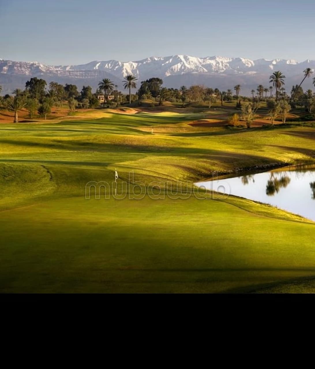 Terrain en vente prestigia argan