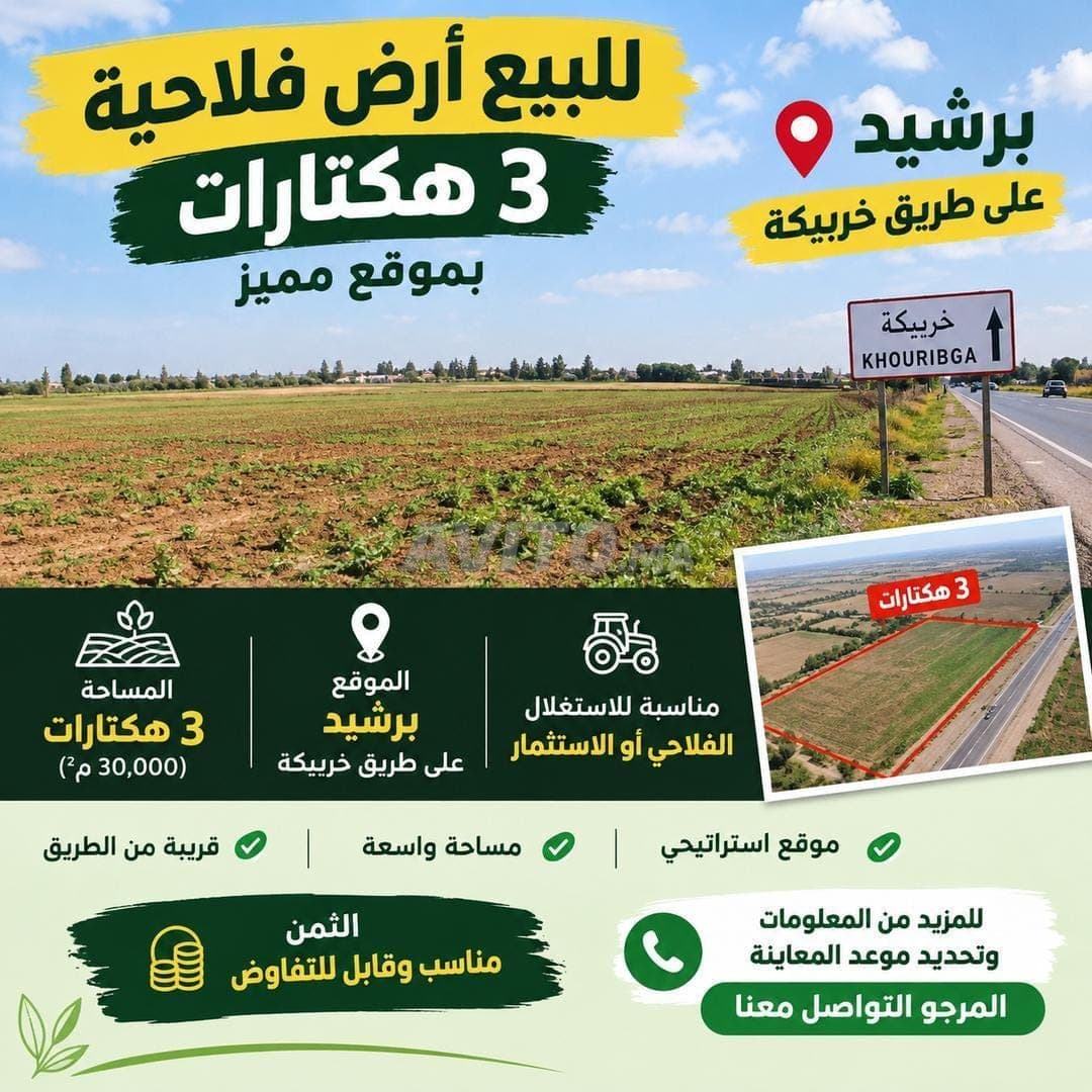 3 hectare te koop aan de weg