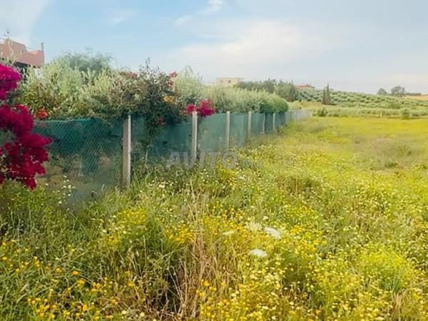 Hectare et trois, Khadama, enregistrée, sur la route, à 3 km de Tiflet