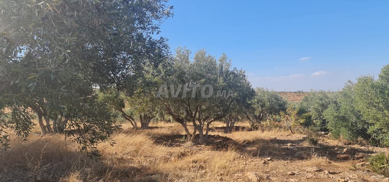 أرض فلاحية مع مزرعة