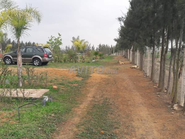 Equipped Farm for Sale – 2 Hectares in Tifelt