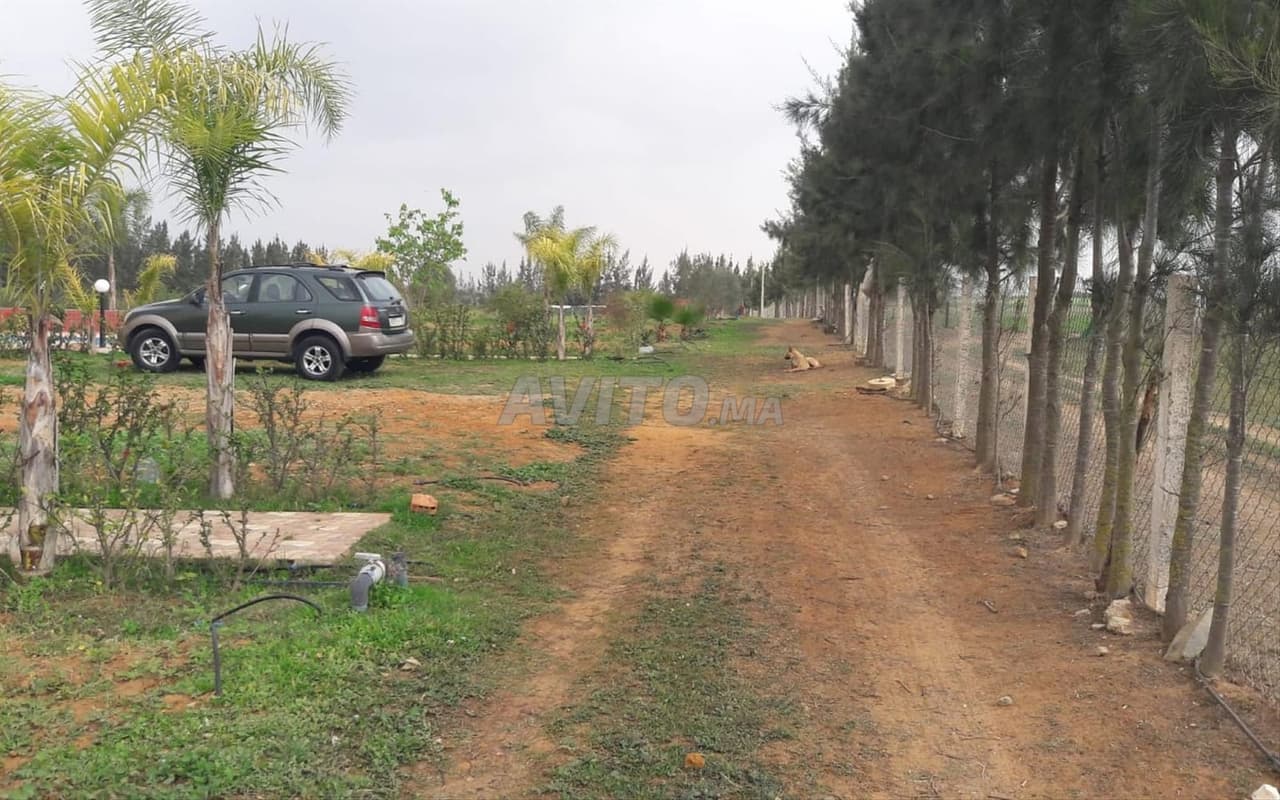 Equipped Farm for Sale – 2 Hectares in Tifelt
