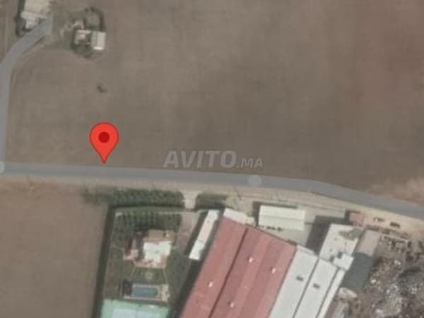 Terrain 5 Hectare à(لعسيلات)à vendre
