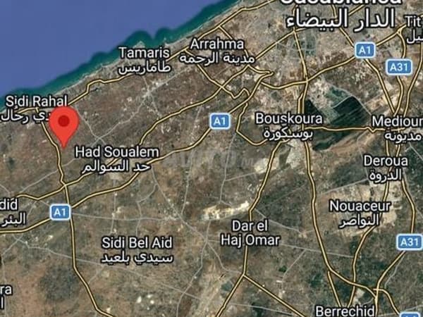 أرض فلاحية محفّظة للبيع قرب سيدي رحال الشاطئ