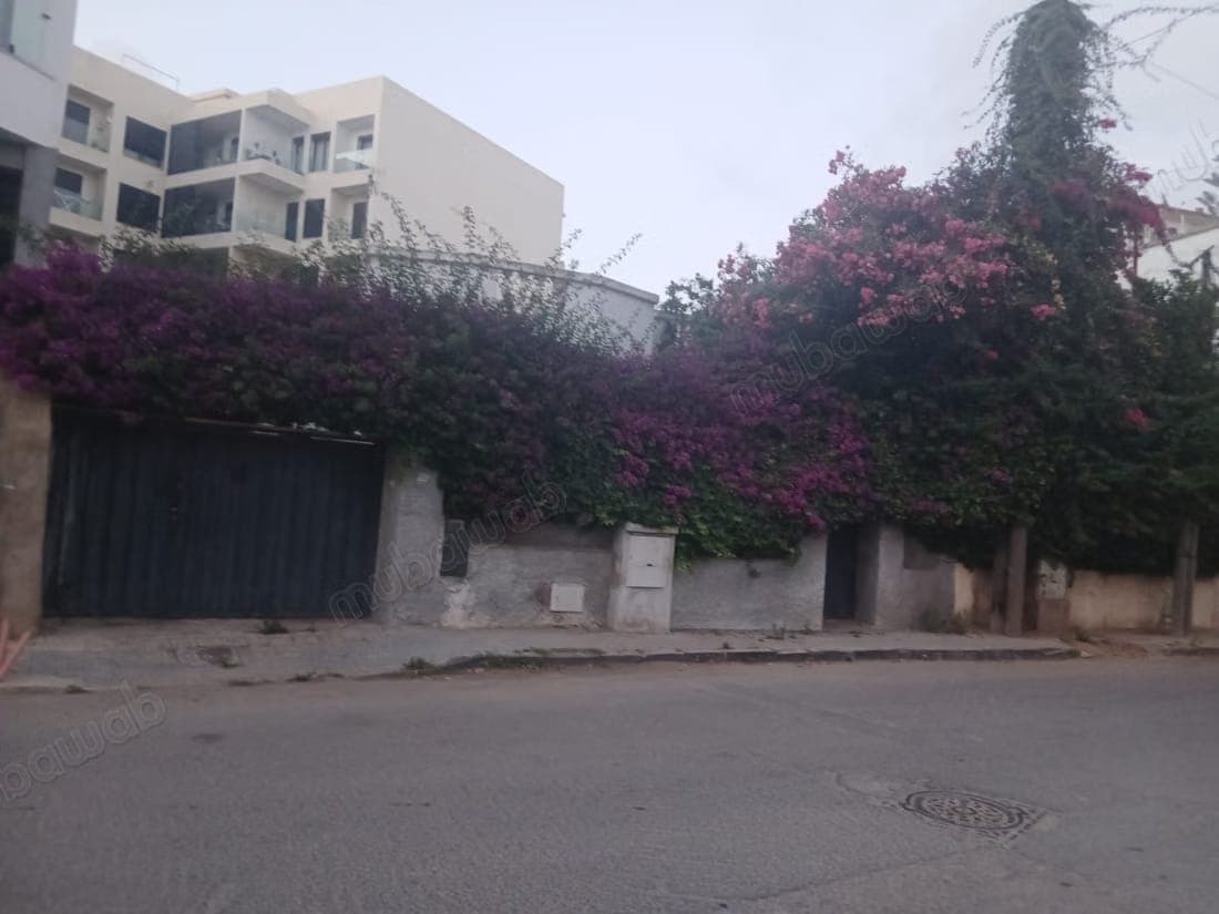 Terreno in vendita a Palmier. Superficie 360 m²
