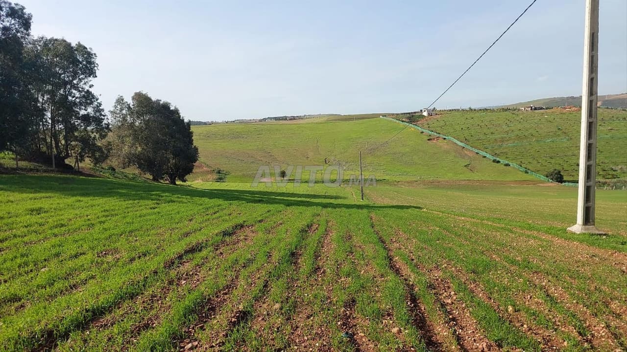 Grond titel 13000m2 Sehoul Salé