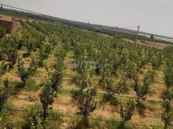 Farm for sale at سهب الروا, route بولمان.