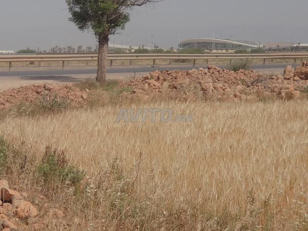 IN VENDITA – TERRENO DI 3,35 ETTARI A OUJDA
