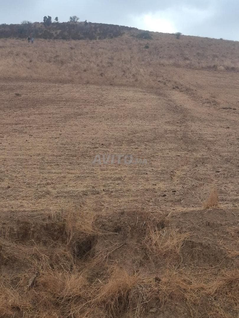 1,5 ettari a 14 milioni solo vicino a Sidi Bettach