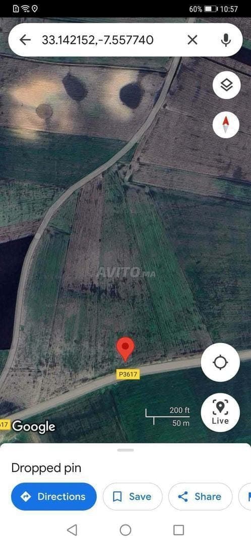 Landbouwgrond Berrechid