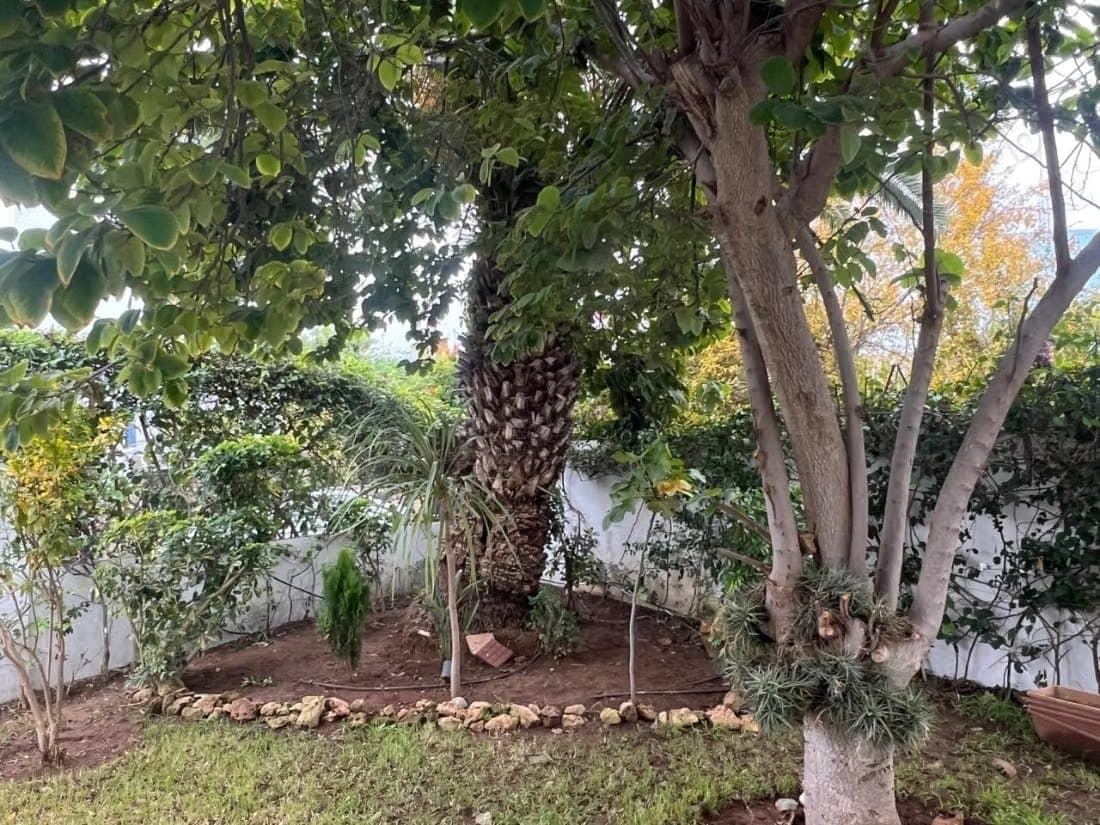 Villa de luxe à vendre à Riyad. Surface de 220 m²