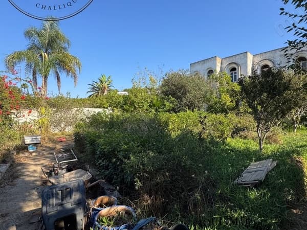 Vente villa à démolir ou à retaper