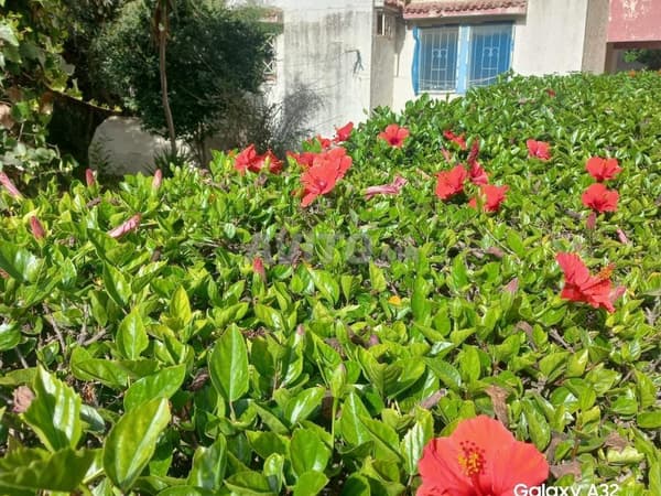 Appartement à vendre 50 m² à Rabat