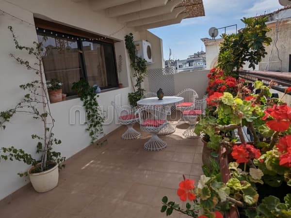 Beau studio meublé avec terrasse, dernier étage