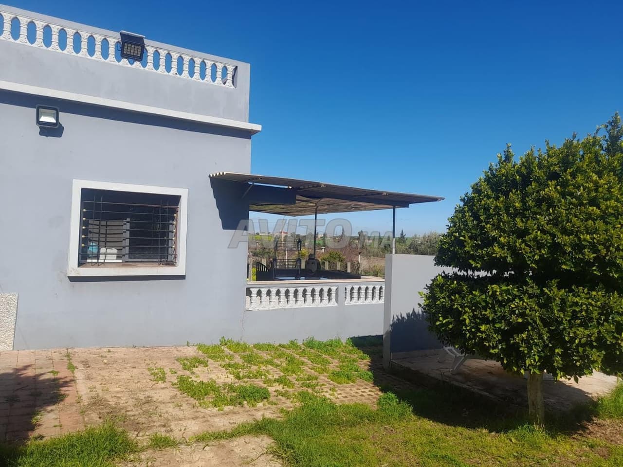 Ferme d'excellente qualité à vendre près de la plage de Lotorte, au sud de Settat