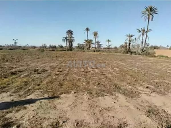 Terrain 7200m² avec vue sur l'Atlas près de Marrakech