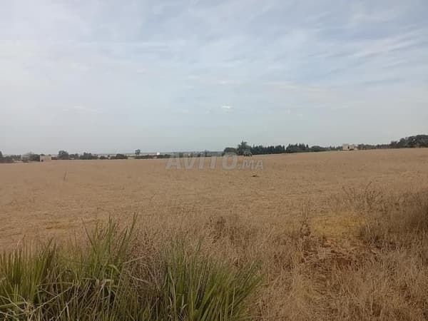 Sei ettari intestati