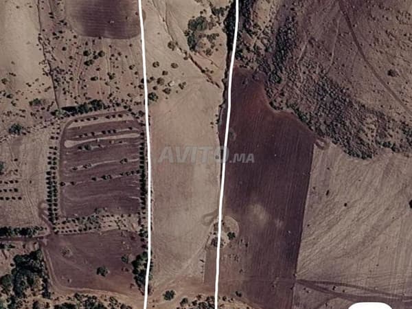 Terrain agricole 21700 m² titré en copropriété