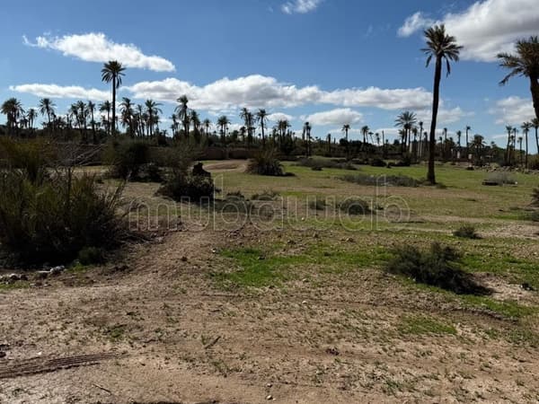Terrain au circuit palmeraie marrakech