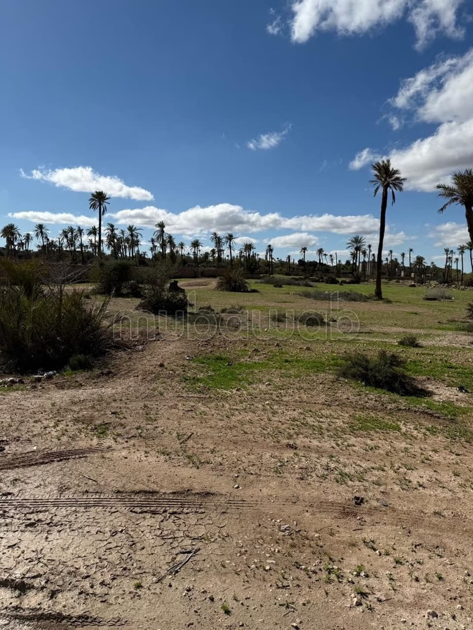 Terrain au circuit palmeraie marrakech