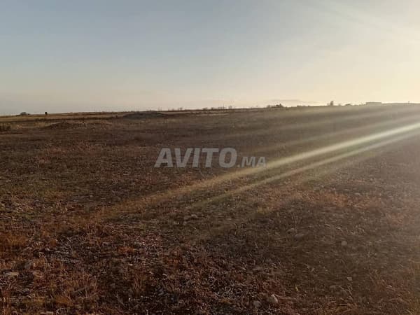 Terrain agricole à vendre en bon état et titré